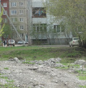 Грудью встали за березы Грудью встали за березы